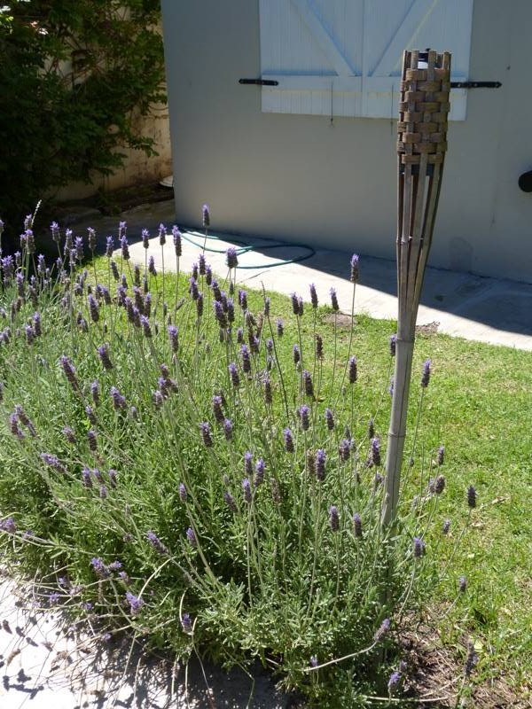 Parque de La Posada de Colón